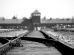 Wycieczka do Auschwitz – jak się do niej przygotować